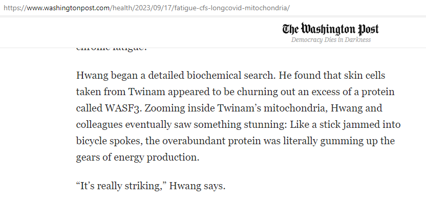 CFS-news protein Hwang and Wallitt CFS-news protein Hwang and Wallitt