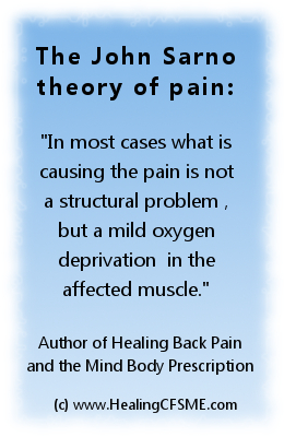 theory of the cause of pain