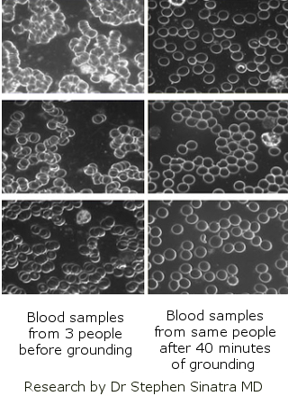 earth healing research