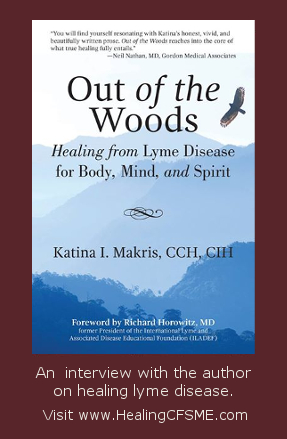 healing lyme disease book
