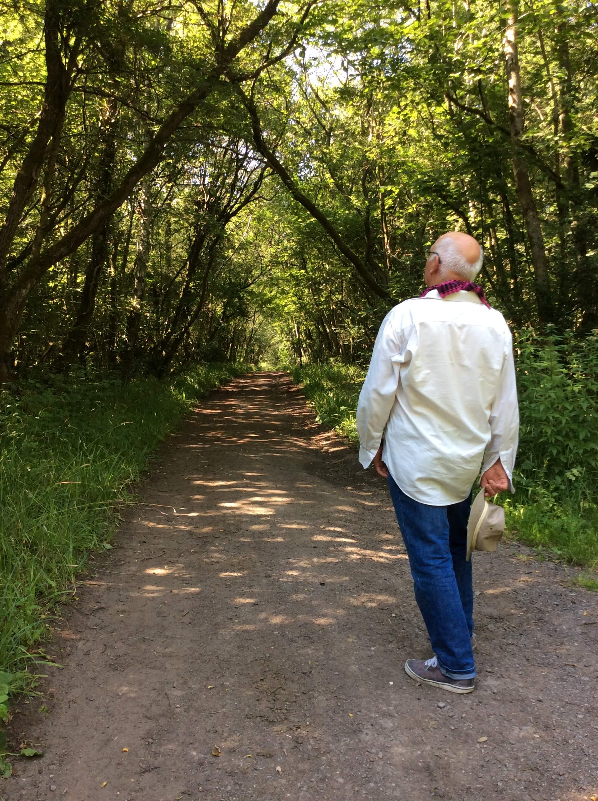 Photograph of an example of wheelchair accessible countryside near Swindon.